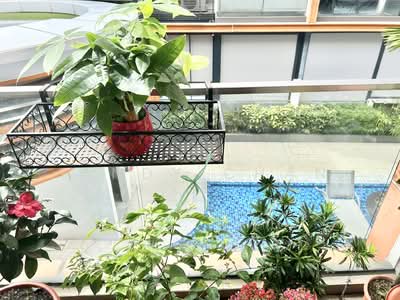 For Sale - Flora View