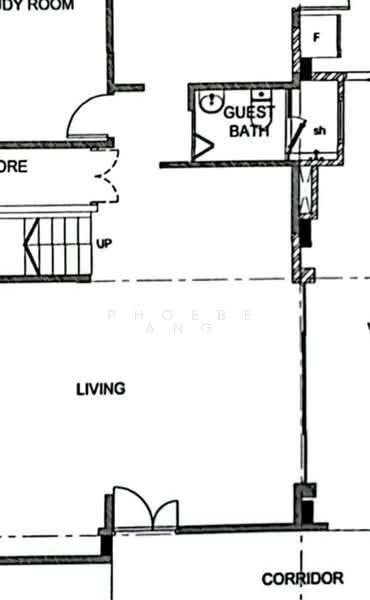 NEW BUILD HOUSE BUKIT TIMAH, Fernhill Crescent, 4 Bedrooms, 4,000 sqft, Semi-Detached House For Rent, by Phoebe Ang, 60237767 - PropertyGuru.com.sg
