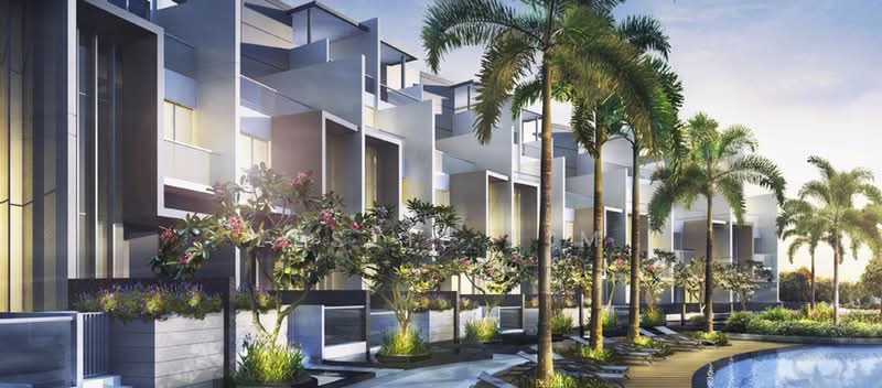 For Sale - Skies Miltonia