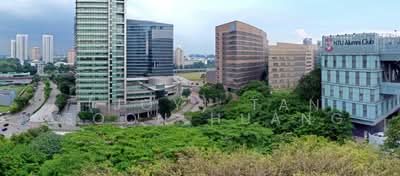 For Sale - Blossoms By The Park