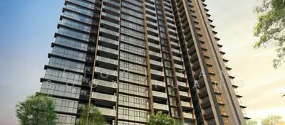 For Sale - MEYER BLUE