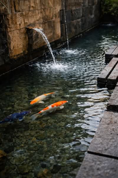 Branksome Road Detached House For Sale at S$ 14,888,000 | PropertyGuru Singapore