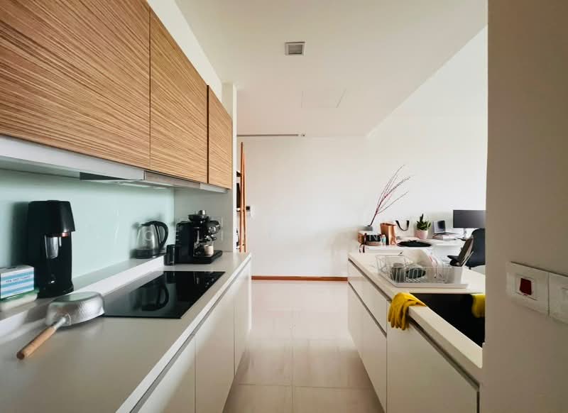 Concourse Skyline, 302 Beach Road, 1 Bedroom, 818 sqft, Condominium For Rent, by Celine Kong, 60240074 - PropertyGuru.com.sg