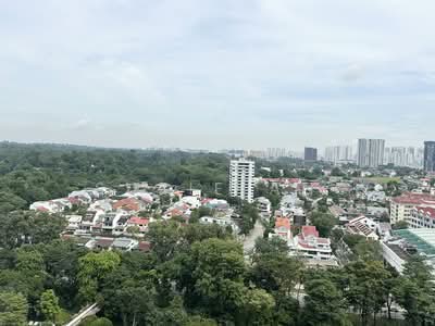 For Sale - Perfect Ten