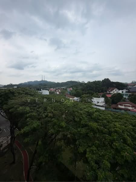 The Blossomvale Condominium For Sale at S$ 4,199,999 | PropertyGuru Singapore