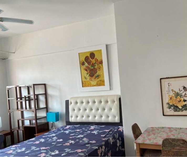 Tiara, 1 Kim Seng Walk, Room Rental, 320 sqft, Apartment For Rent, by David Yu, 60243457 - PropertyGuru.com.sg