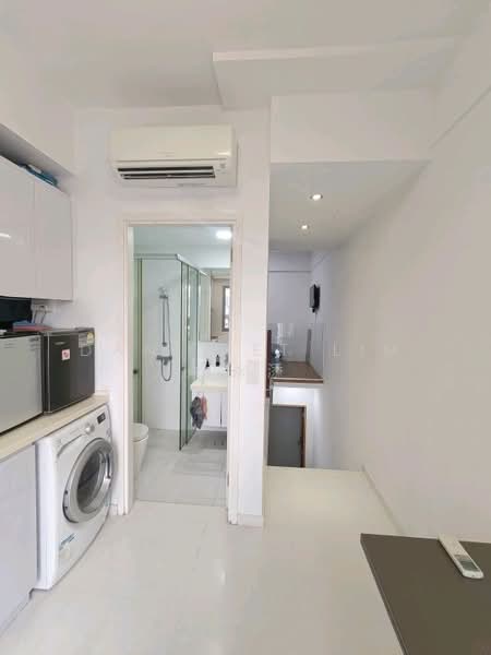 #1 Loft, 1 Lorong 24 Geylang, Studio, 280 sqft, Apartment For Rent, by Danis ET Lim 林永添, 60243684 - PropertyGuru.com.sg