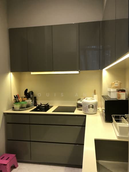 Robin Residences, 3 Robin Drive, 3 Bedrooms, 1,300 sqft, Condominium For Rent, by Louis Ang, 60243998 - PropertyGuru.com.sg