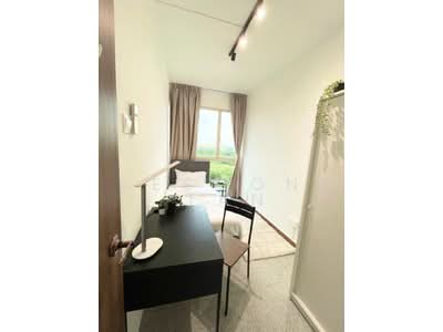 For Rent - Rio Vista