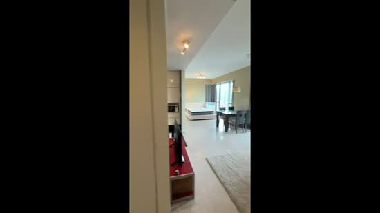 Studio 3, 28 Shanghai Road, Studio, 549 sqft, Apartment For Rent, by Selena Ang, 60245234 - PropertyGuru.com.sg