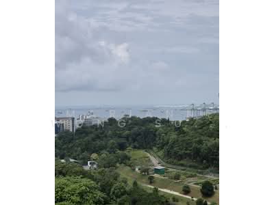 For Sale - Normanton Park