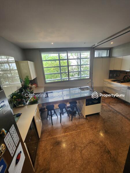 Nassim Park Residences, 15 Nassim Road, 5 Bedrooms, 3,476 sqft, Condominium For Rent, by Catherine Choong, 6089751 - PropertyGuru.com.sg