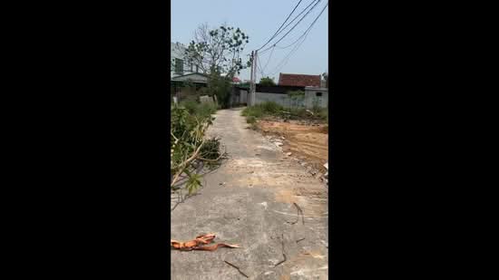 BÁN ĐẤT PHÚC THỌ  GIÁ TỐT CHỈ 1 TỶ 1