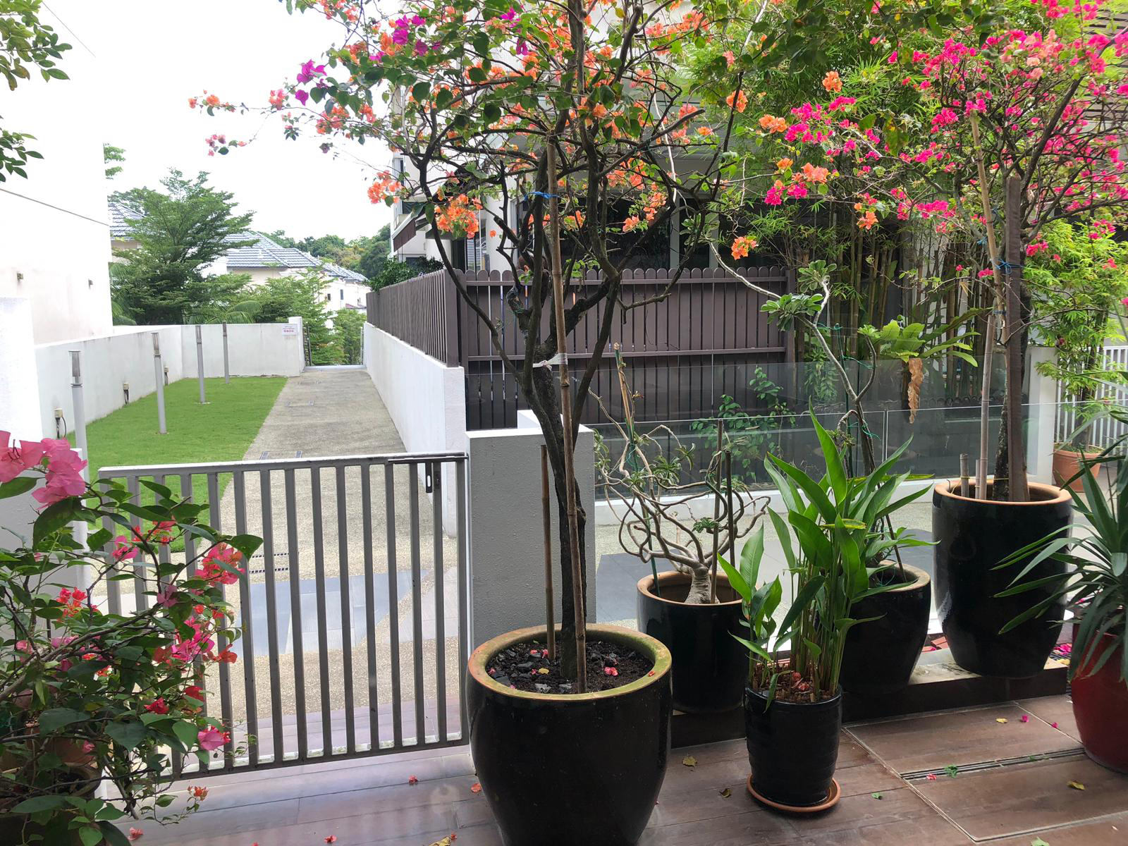 Ventura Heights, 69 Jalan Lim Tai See, 5 Bedrooms, 4,768 sqft, Cluster House For Rent, by Carrie Leow, 8073312 - PropertyGuru.com.sg