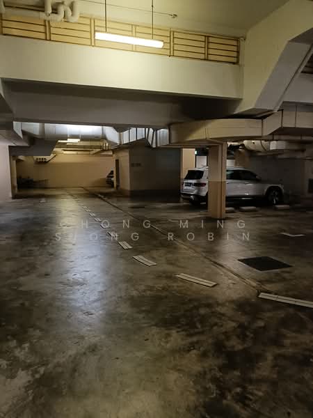 NassimVille an unique 3 bedrooms unit at 11 Nassim Road, 11 Nassim Road, 3 Bedrooms, 1,520 sqft, Condominium For Rent, by Chong Ming Siong Robin, 8492601 - Basement car park - PropertyGuru.com.sg