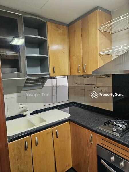 River Place, 60 Havelock Road, 1 Bedroom, 786 sqft, Condominium For Rent, by Joseph Tan, 8585047 - PropertyGuru.com.sg