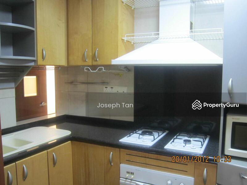 River Place, 60 Havelock Road, 1 Bedroom, 786 sqft, Condominium For Rent, by Joseph Tan, 8585047 - PropertyGuru.com.sg