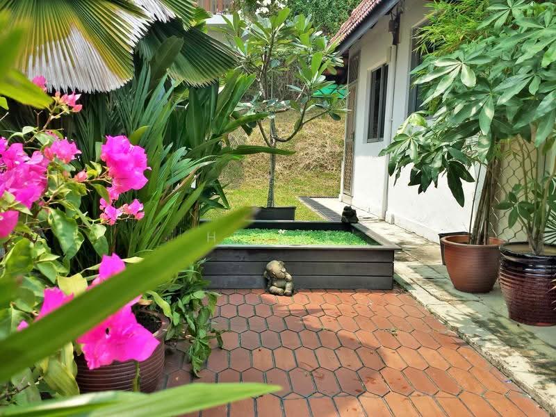 Dear Ms Yap, I w'ld like to thank you for the 4 amazing years here Very sad to move out! Tenant Jean, Shepherds Drive, Alexandra / Commonwealth, 3 Bedrooms, 1,860 sqft, Bungalow House For Rent, by HT Lee, 8842060 - PropertyGuru.com.sg