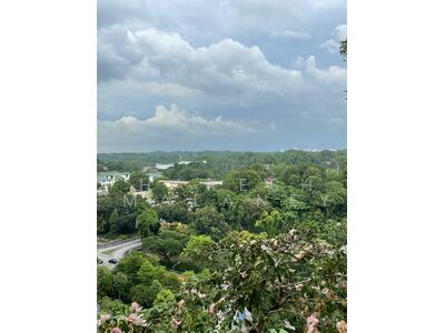 For Sale - Honolulu Tower