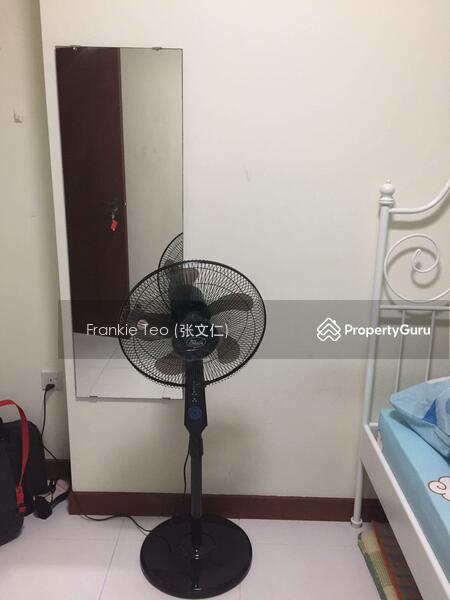 18D Holland Drive, 18D Holland Drive, Room Rental, 130 sqft, HDB Flat For Rent, by Frankie Teo (张文仁), 9186837 - PropertyGuru.com.sg