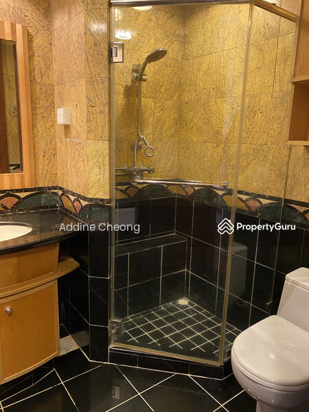 River Place, 60 Havelock Road, 2 Bedrooms, 1,051 sqft, Condominium For Rent, by Addine Cheong, 9385852 - PropertyGuru.com.sg