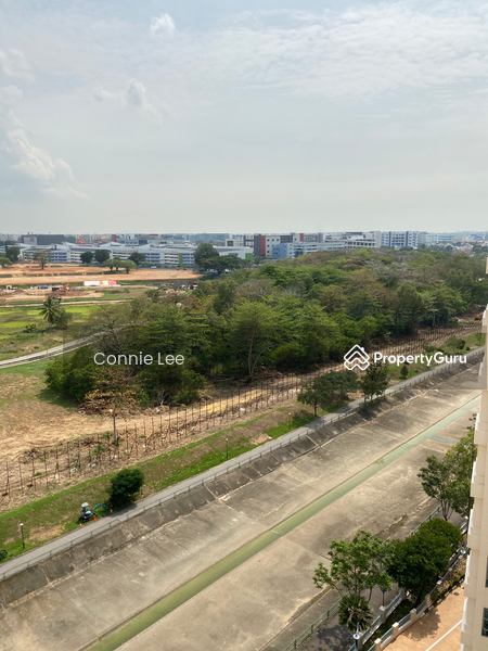 Aquarius By The Park, 7 Bedok Reservoir View, Bedok / Upper East Coast, 2 Bedrooms, 893 sqft, Condominium For Rent, by Connie Lee, 9840117 - PropertyGuru.com.sg