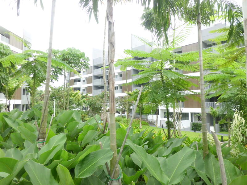 For Rent - Meadows @ Peirce
