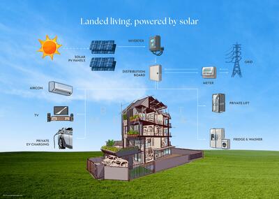 For Sale - Pollen Collection II