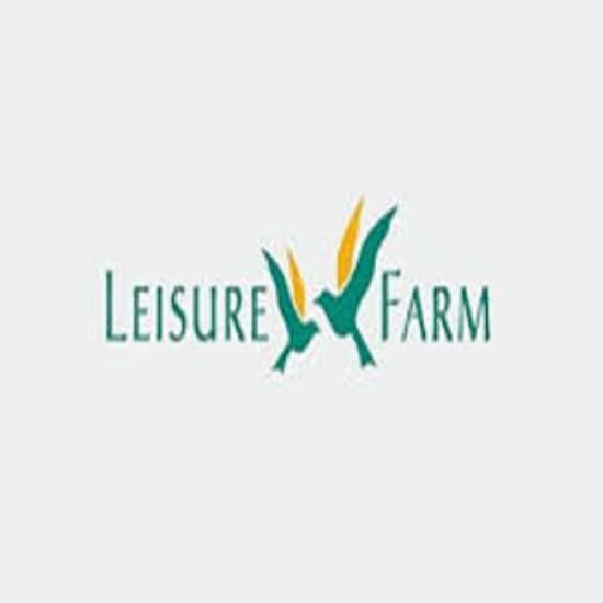 Developer Logo