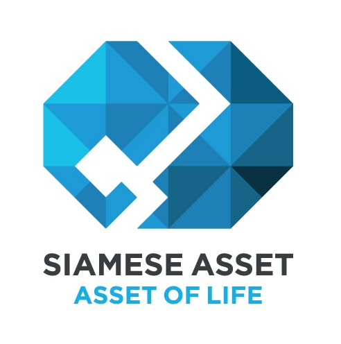Developer Logo