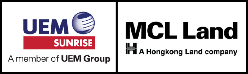 Developer Logo