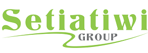 Developer Logo