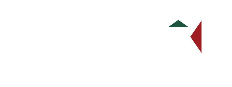 Developer Logo