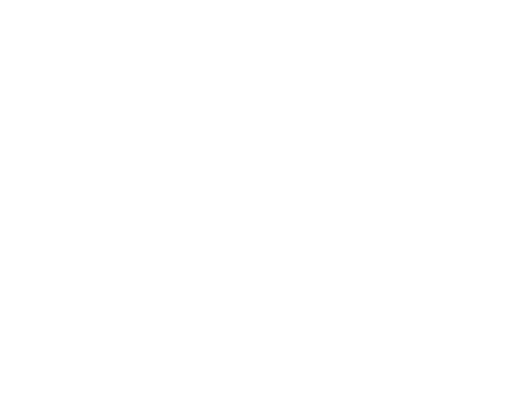 Developer Logo