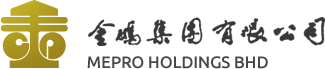 Developer Logo