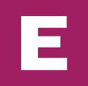 Developer Logo