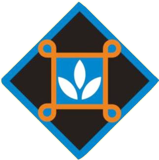 Developer Logo