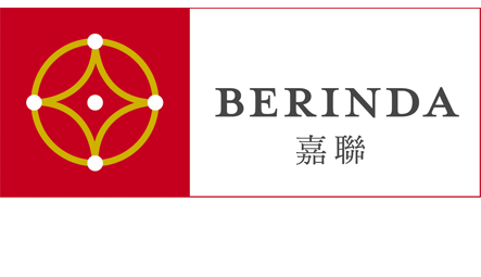 Developer Logo