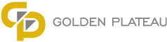 Developer Logo