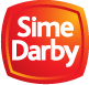 Developer Logo