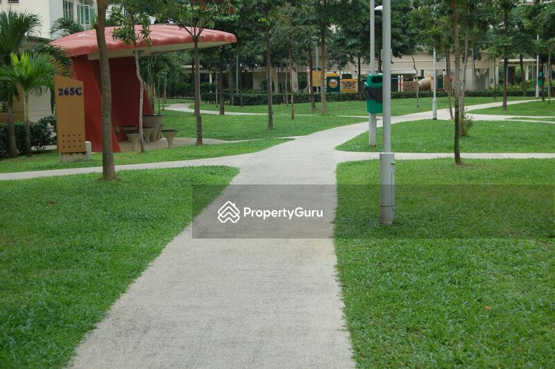 For Rent - 265C Compassvale Link
