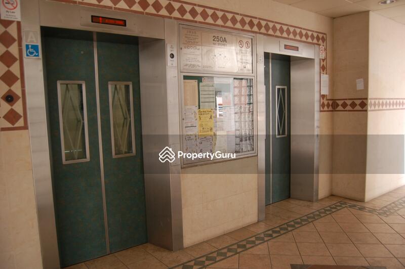 250A Compassvale Street #0