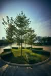 Sejati Residences @ Cyberjaya #0