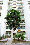 112 Edgefield Plains #0