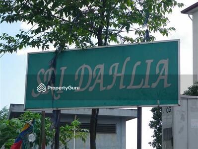  - Sri Dahlia