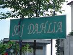 Sri Dahlia #0