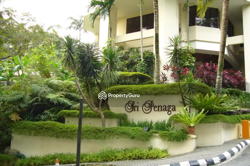 For Rent - Sri Penaga
