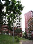 442 Fajar Road #0