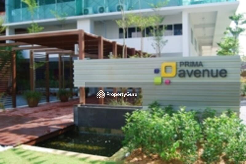 Prima Avenue #0
