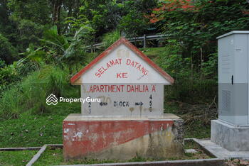 Apartment Dahlia A